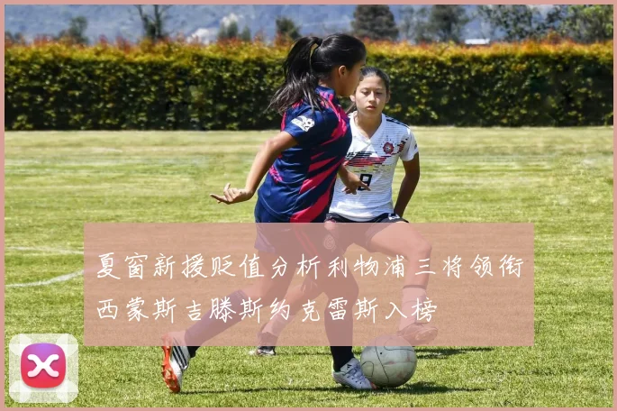 夏窗新援贬值分析利物浦三将领衔西蒙斯吉滕斯约克雷斯入榜